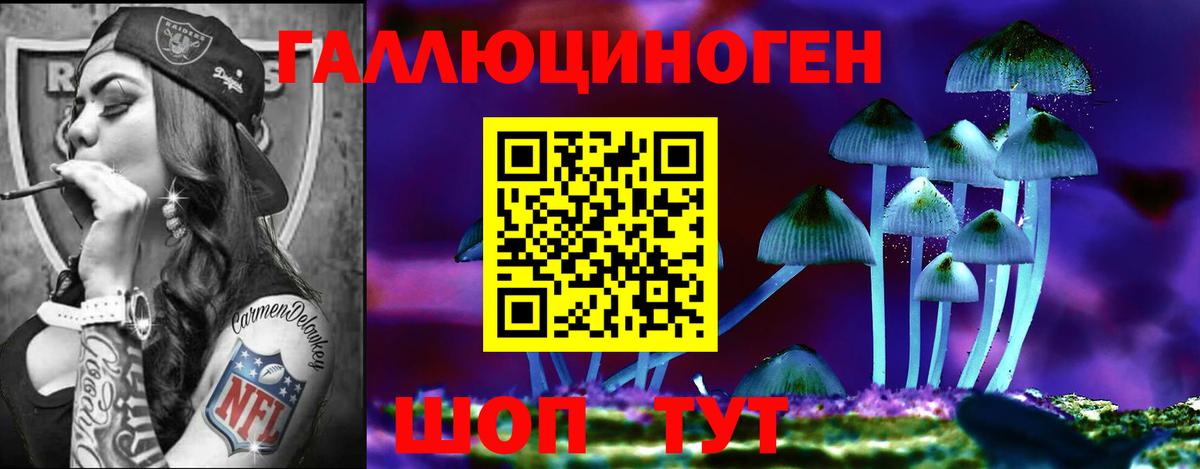 Галлюциногенные грибы мухоморы Великий Устюг